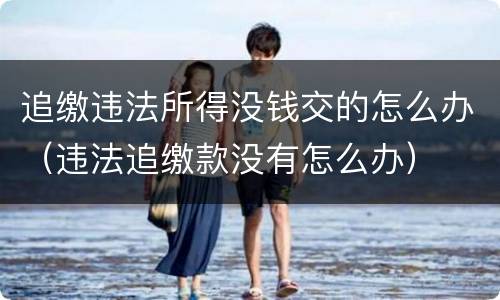 追缴违法所得没钱交的怎么办（违法追缴款没有怎么办）