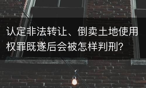 认定非法转让、倒卖土地使用权罪既遂后会被怎样判刑？