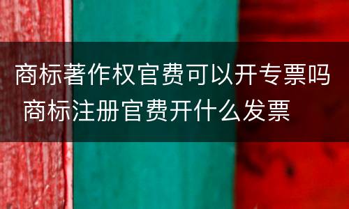 商标著作权官费可以开专票吗 商标注册官费开什么发票