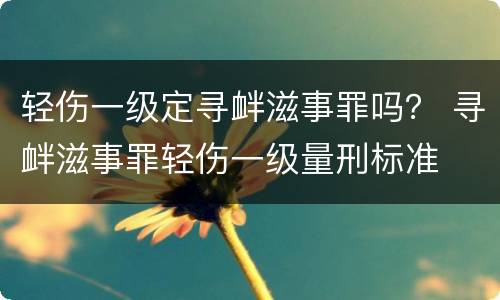 轻伤一级定寻衅滋事罪吗？ 寻衅滋事罪轻伤一级量刑标准
