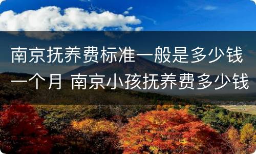 南京抚养费标准一般是多少钱一个月 南京小孩抚养费多少钱一个月