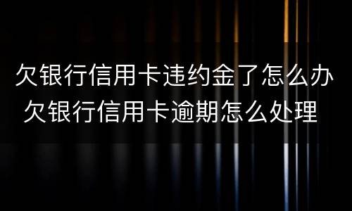 欠银行信用卡违约金了怎么办 欠银行信用卡逾期怎么处理