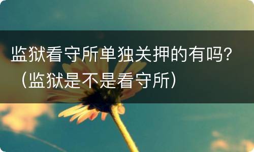 监狱看守所单独关押的有吗？（监狱是不是看守所）