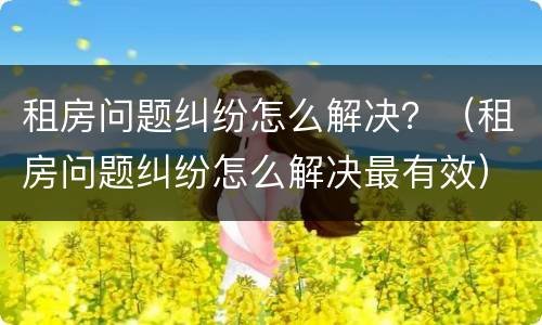 租房问题纠纷怎么解决？（租房问题纠纷怎么解决最有效）