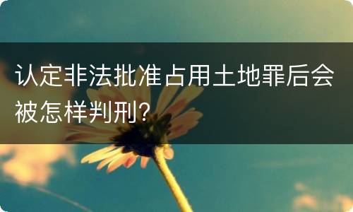 认定非法批准占用土地罪后会被怎样判刑?