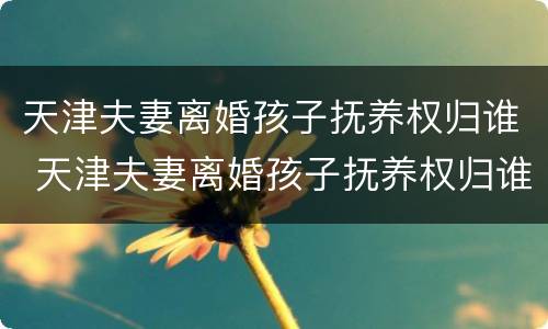 天津夫妻离婚孩子抚养权归谁 天津夫妻离婚孩子抚养权归谁抚养