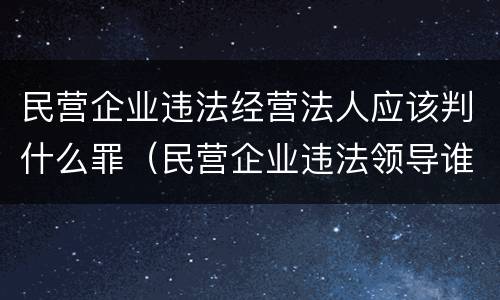 民营企业违法经营法人应该判什么罪（民营企业违法领导谁来处理）