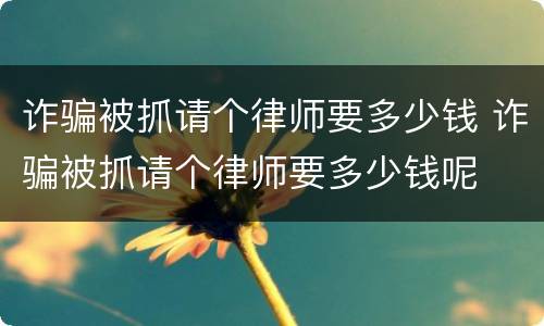 诈骗被抓请个律师要多少钱 诈骗被抓请个律师要多少钱呢