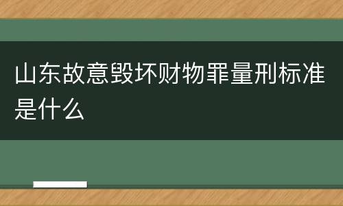 山东故意毁坏财物罪量刑标准是什么