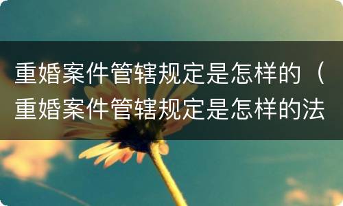 重婚案件管辖规定是怎样的（重婚案件管辖规定是怎样的法律）
