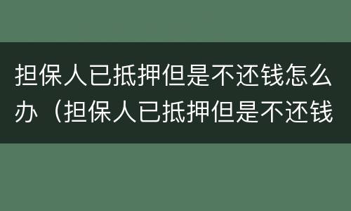 担保人已抵押但是不还钱怎么办（担保人已抵押但是不还钱怎么办呢）