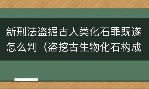 新刑法盗掘古人类化石罪既遂怎么判（盗挖古生物化石构成何罪）