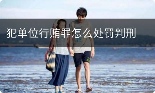 犯单位行贿罪怎么处罚判刑