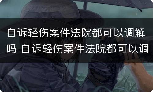 自诉轻伤案件法院都可以调解吗 自诉轻伤案件法院都可以调解吗