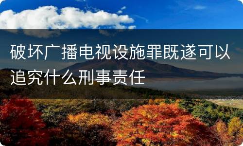 破坏广播电视设施罪既遂可以追究什么刑事责任