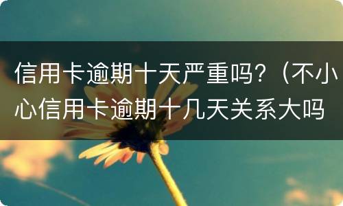 信用卡逾期十天严重吗?（不小心信用卡逾期十几天关系大吗）