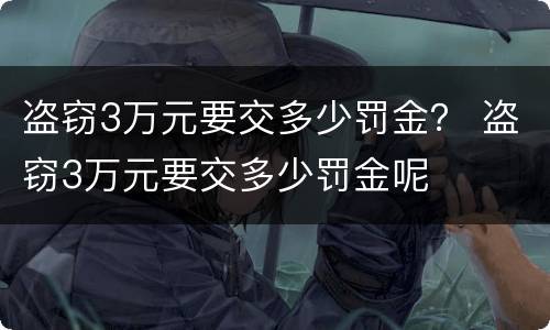 盗窃3万元要交多少罚金？ 盗窃3万元要交多少罚金呢