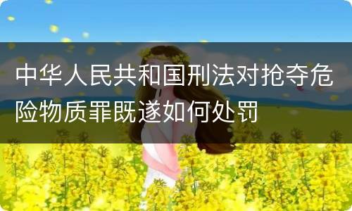 中华人民共和国刑法对抢夺危险物质罪既遂如何处罚