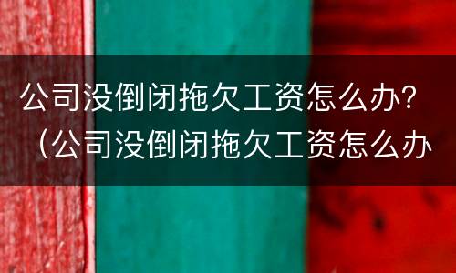 公司没倒闭拖欠工资怎么办？（公司没倒闭拖欠工资怎么办理）