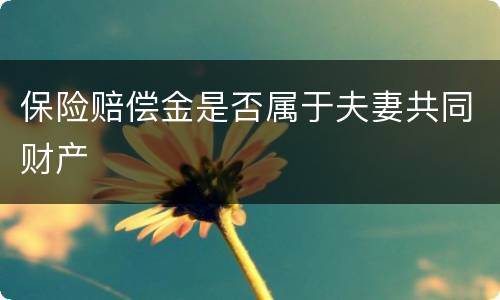 保险赔偿金是否属于夫妻共同财产