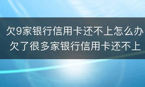 欠9家银行信用卡还不上怎么办 欠了很多家银行信用卡还不上怎么办