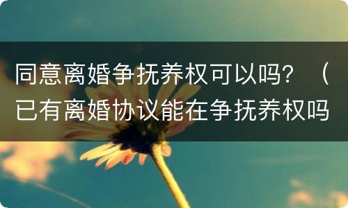 同意离婚争抚养权可以吗？（已有离婚协议能在争抚养权吗）