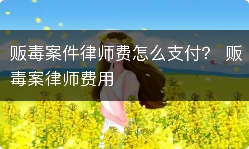 贩毒案件律师费怎么支付？ 贩毒案律师费用