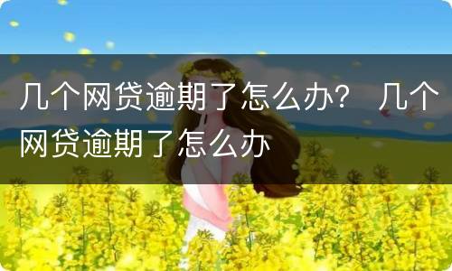 几个网贷逾期了怎么办？ 几个网贷逾期了怎么办