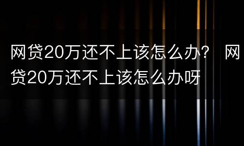 网贷20万还不上该怎么办？ 网贷20万还不上该怎么办呀