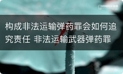 构成非法运输弹药罪会如何追究责任 非法运输武器弹药罪