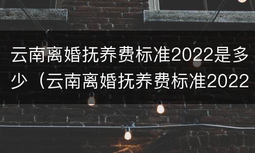 云南离婚抚养费标准2022是多少（云南离婚抚养费标准2022是多少岁）