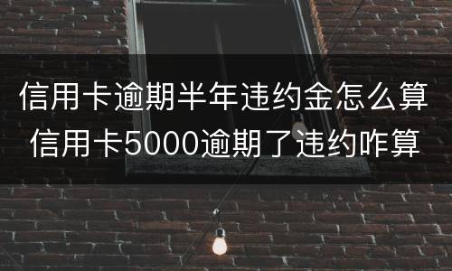 信用卡逾期半年违约金怎么算 信用卡5000逾期了违约咋算