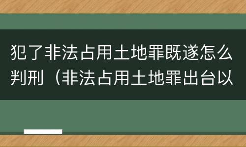犯了非法占用土地罪既遂怎么判刑（非法占用土地罪出台以前的怎么处理）