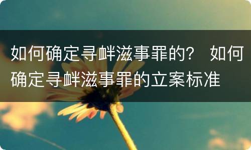如何确定寻衅滋事罪的？ 如何确定寻衅滋事罪的立案标准