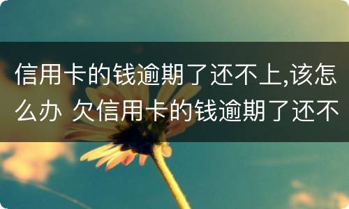 信用卡的钱逾期了还不上,该怎么办 欠信用卡的钱逾期了还不上怎么办