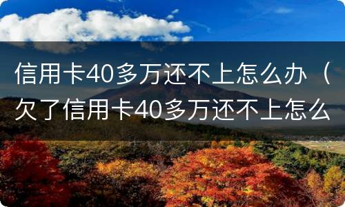 信用卡40多万还不上怎么办（欠了信用卡40多万还不上怎么办）