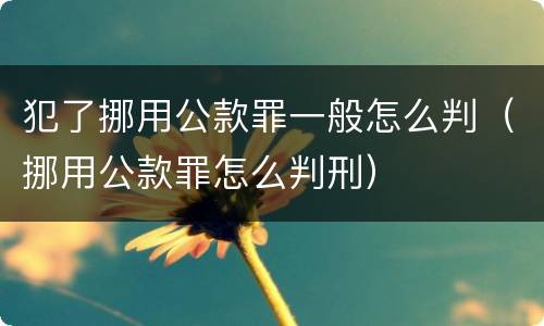 犯了挪用公款罪一般怎么判（挪用公款罪怎么判刑）