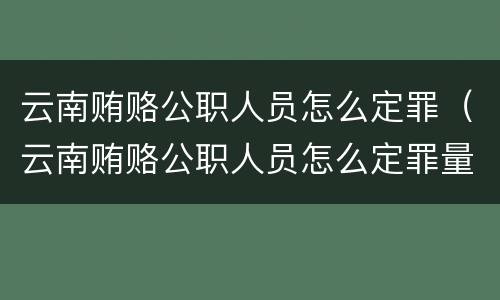 云南贿赂公职人员怎么定罪（云南贿赂公职人员怎么定罪量刑标准）