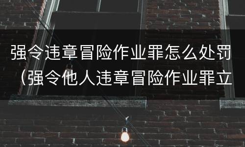 强令违章冒险作业罪怎么处罚（强令他人违章冒险作业罪立案标准）