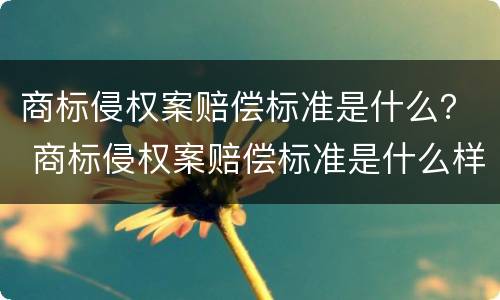 商标侵权案赔偿标准是什么？ 商标侵权案赔偿标准是什么样的