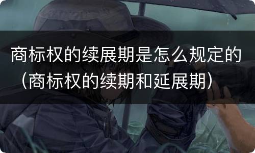 商标权的续展期是怎么规定的（商标权的续期和延展期）