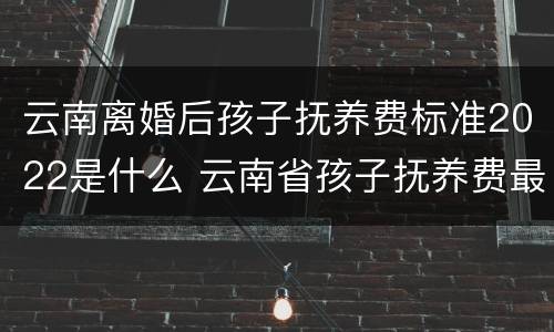 云南离婚后孩子抚养费标准2022是什么 云南省孩子抚养费最低标准是多少