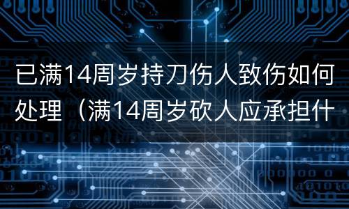 已满14周岁持刀伤人致伤如何处理（满14周岁砍人应承担什么责任）