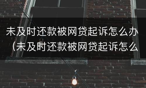 未及时还款被网贷起诉怎么办（未及时还款被网贷起诉怎么办理）