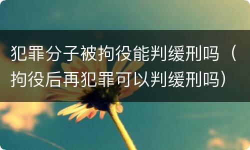 犯罪分子被拘役能判缓刑吗（拘役后再犯罪可以判缓刑吗）