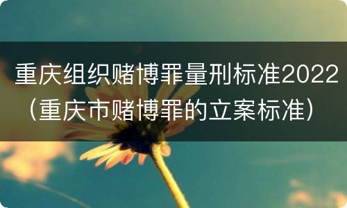 重庆组织赌博罪量刑标准2022（重庆市赌博罪的立案标准）