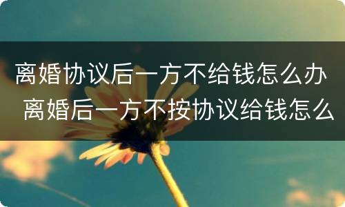 离婚协议后一方不给钱怎么办 离婚后一方不按协议给钱怎么办?