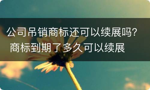 公司吊销商标还可以续展吗？ 商标到期了多久可以续展