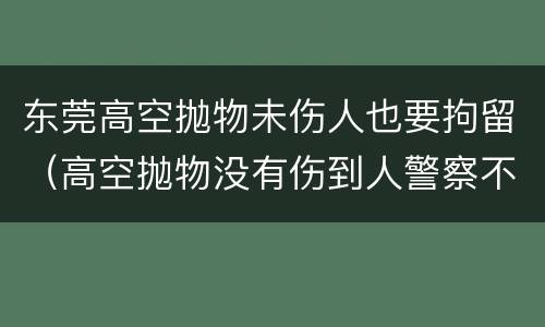 东莞高空抛物未伤人也要拘留（高空抛物没有伤到人警察不管）