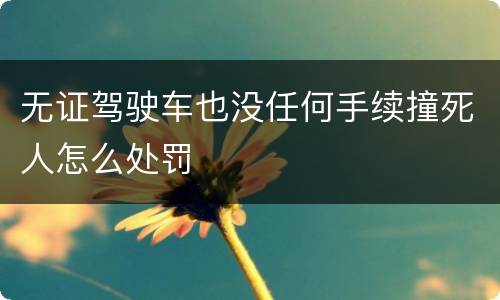 无证驾驶车也没任何手续撞死人怎么处罚